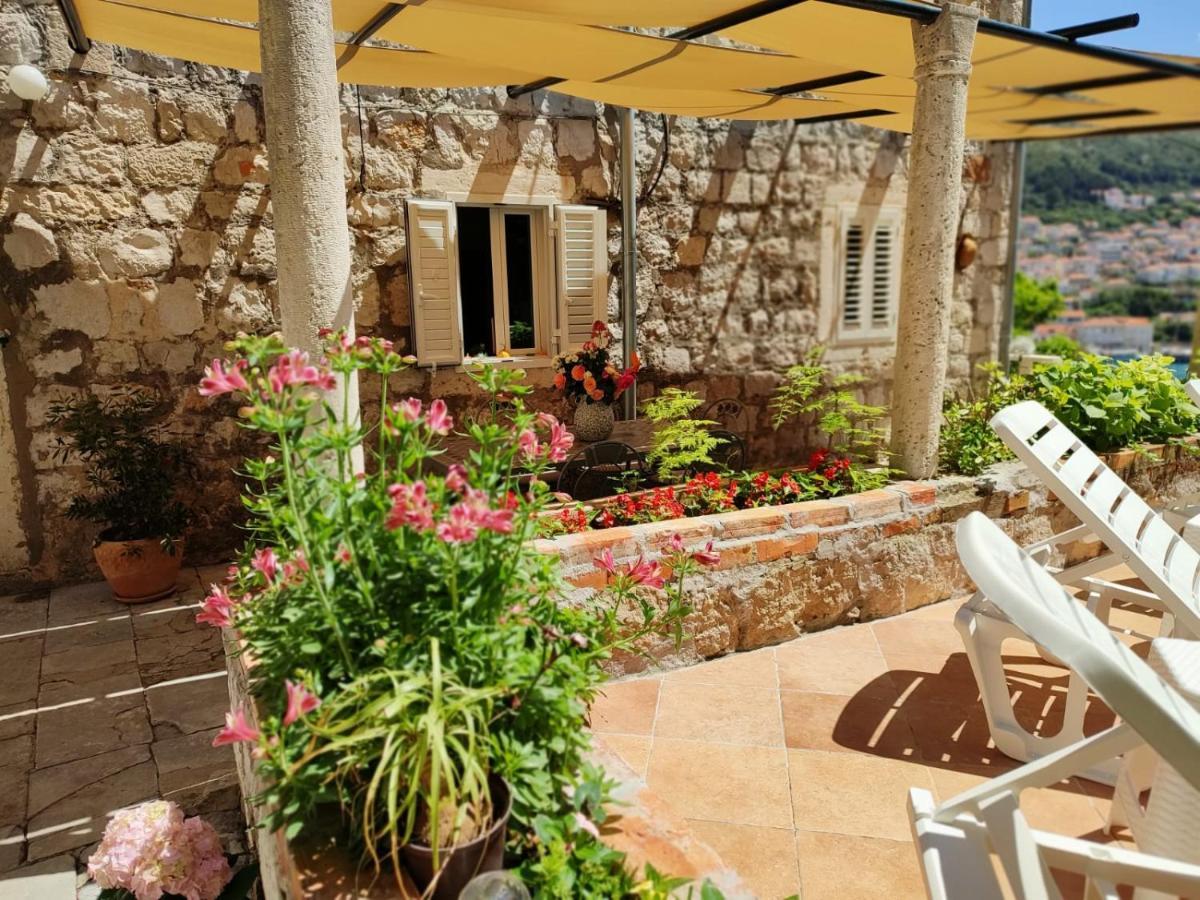 Peaceful House In Dubrovnik Lägenhet Exteriör bild